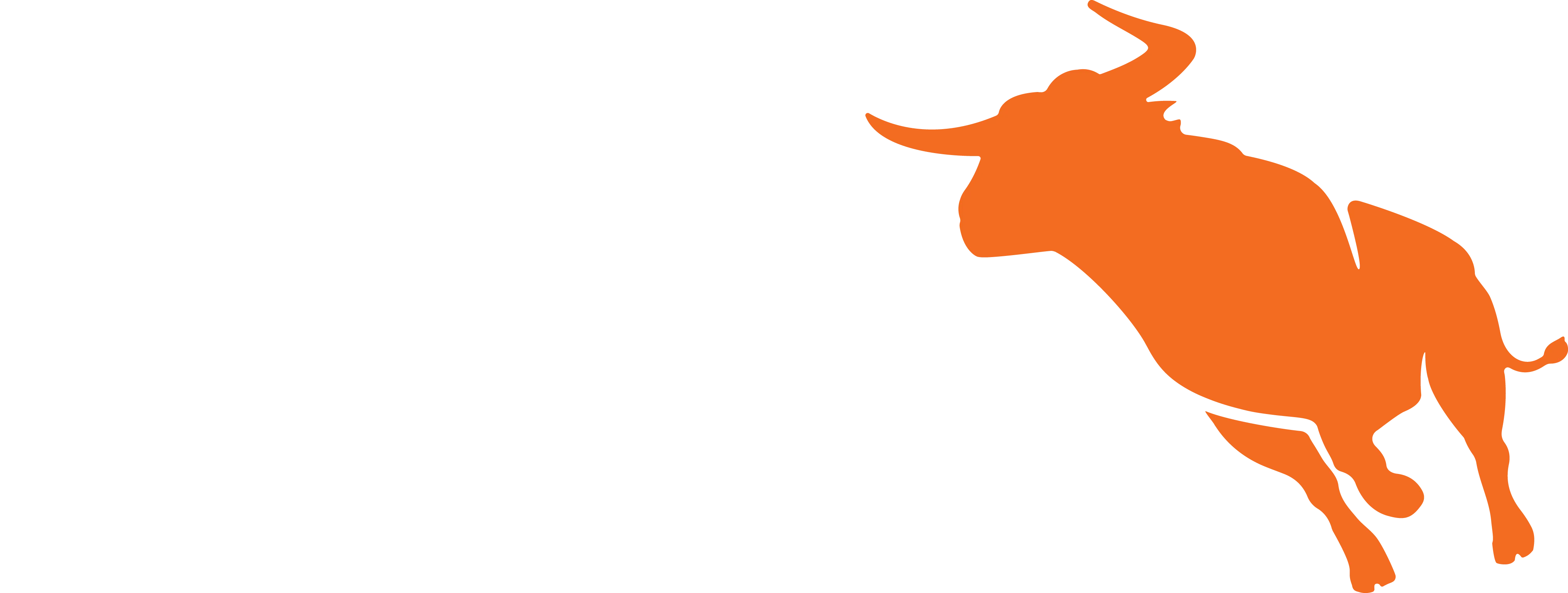 Bullhorn